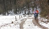 11 Pedalando....